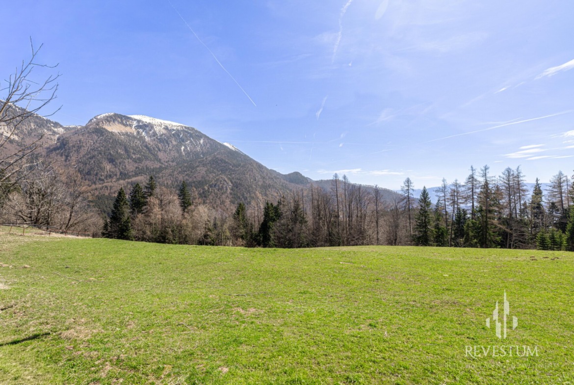 IDYLLIC SECLUDED FARMHOUSE, JAVORNIŠKI ROVT